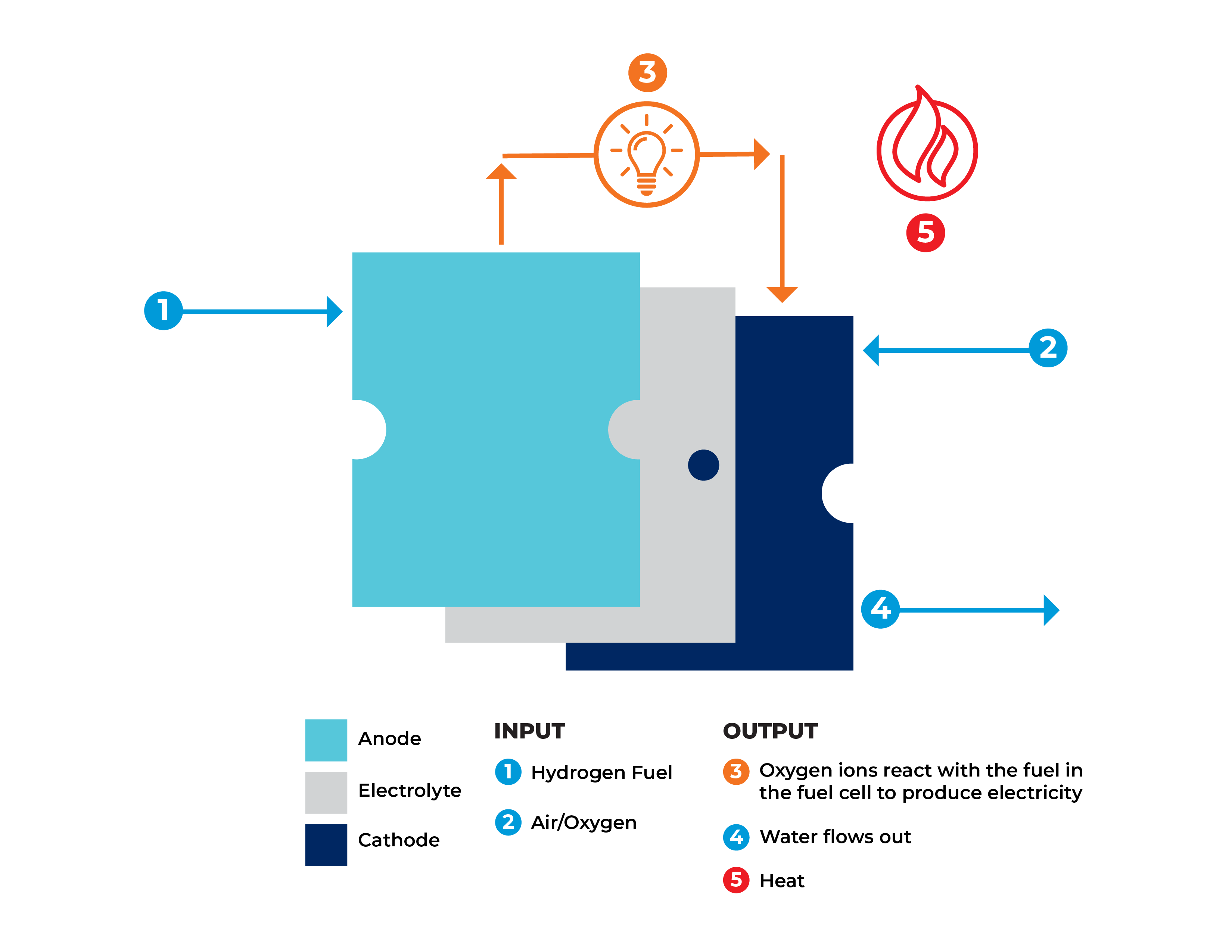Fuel Cell Technology
