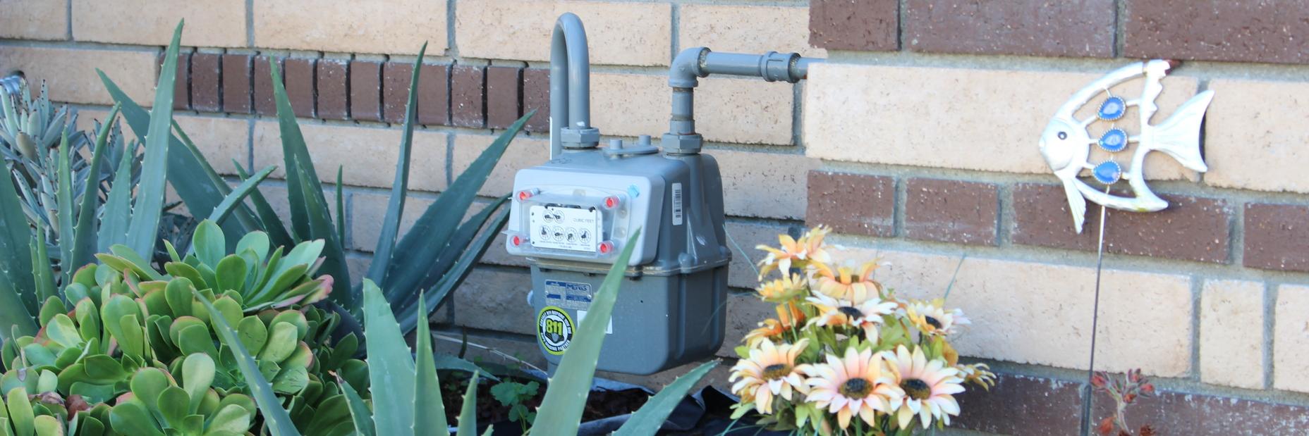 gas meter against a brick wall with flowers in the foreground